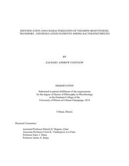 Identification and Characterization of Thiamine Biosynthesis, Transport, and Regulation Elements Among Bacteroides Species