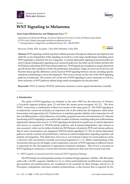 WNT Signaling in Melanoma