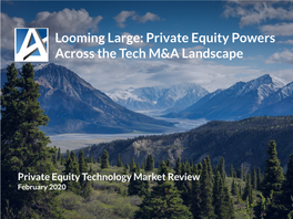 Looming Large: Private Equity Powers Across the Tech M&A Landscape