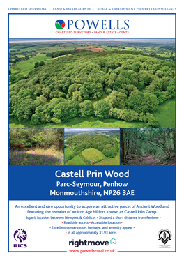 Castell Prin Wood Parc-Seymour, Penhow Monmouthshire, NP26 3AE