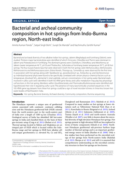 Bacterial and Archeal Community Composition in Hot Springs from Indo-Burma Region, North-East India