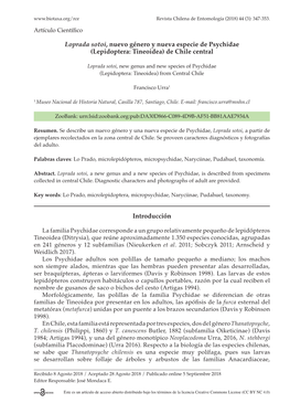 Loprada Sotoi, Nuevo Género Y Nueva Especie De Psychidae (Lepidoptera: Tineoidea) De Chile Central