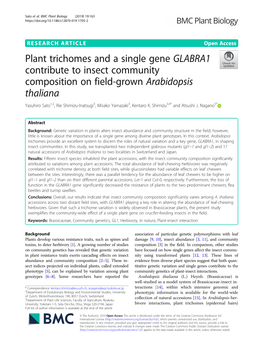 Plant Trichomes and a Single Gene GLABRA1