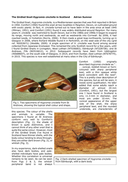 The Girdled Snail Hygromia Cinctella in Scotland Adrian Sumner