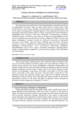 Common Scale Insects (Hemiptera:Coccoidea) in Egypt
