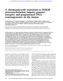 A Chromatin-Wide Transition to H4K20 Monomethylation Impairs Genome Integrity and Programmed DNA Rearrangements in the Mouse