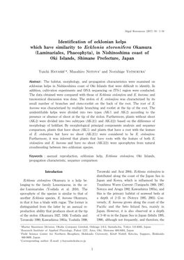 Identification of Ecklonian Kelps Which Have Similarity to Ecklonia Stolonifera Okamura (Laminariales, Phaeophyta), in Nishinoshima Coast of Oki Islands, Shimane Prefecture, Japan