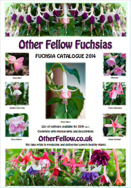 Other Fellow Fuchsias 2014 Catalogue
