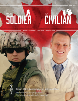 From Soldier to Civilian: Professionalizing the Transition