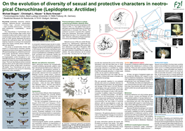 Lepidoptera: Arctiidae) Boppre@Fzi.Uni-Freiburg.Dez SLIII Michael Boppré 1, Christoph L