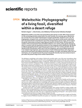 Welwitschia: Phylogeography of a Living Fossil, Diversifed Within a Desert Refuge Norbert Jürgens*, Imke Oncken, Jens Oldeland, Felicitas Gunter & Barbara Rudolph