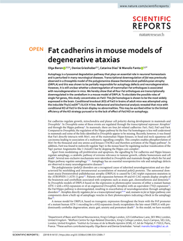 Fat Cadherins in Mouse Models of Degenerative Ataxias Olga Baron 1,2,4, Denise Grieshober1,4, Catarina Dias1 & Manolis Fanto 1,3*