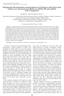 Phylogenetic Reconstruction Among Species of Chiritopsis and Chirita Sect