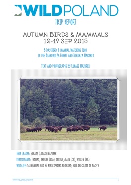 Trip Report Autumn Birds & Mammals 12-19 Sep 2015 8 Day Bird & Mammal Watching Tour in the Białowieża Forest and Biebrza Marshes