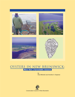 Oysters in New Brunswick: More Than a Harvestable Resource