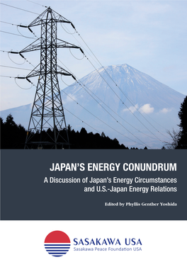 Japan's Energy Conundrum