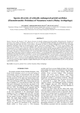 Species Diversity of Critically Endangered Pristid Sawfishes (Elasmobranchii: Pristidae) of Nusantara Waters (Malay Archipelago)