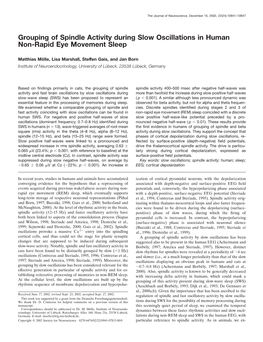 Grouping of Spindle Activity During Slow Oscillations in Human Non-Rapid Eye Movement Sleep