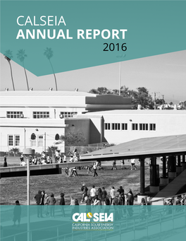 Calseia Annual Report 2016