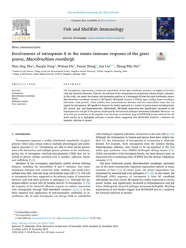 Involvement of Tetraspanin 8 in the Innate Immune Response of The