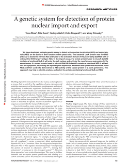 A Genetic System for Detection of Protein Nuclear Import and Export