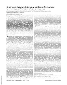 Structural Insights Into Peptide Bond Formation