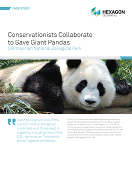 Conservationists Collaborate to Save Giant Pandas Smithsonian National Zoological Park