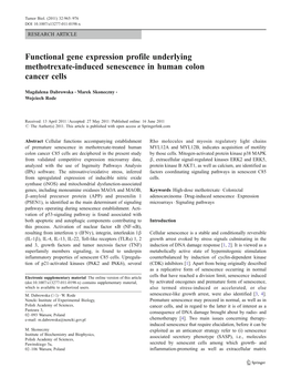 Functional Gene Expression Profile Underlying Methotrexate-Induced Senescence in Human Colon Cancer Cells