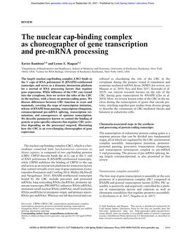 The Nuclear Cap-Binding Complex As Choreographer of Gene Transcription and Pre-Mrna Processing