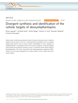 Divergent Synthesis and Identification of the Cellular Targets Of