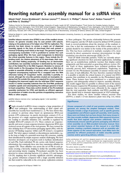 Rewriting Nature's Assembly Manual for a Ssrna Virus