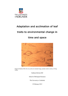 Adaptation and Acclimation of Leaf Traits to Environmental Change in Time and Space