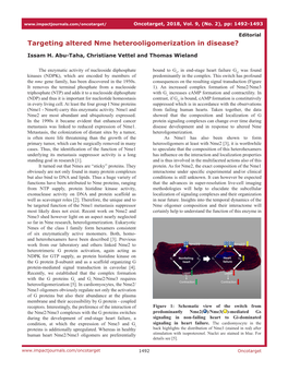 Targeting Altered Nme Heterooligomerization in Disease?