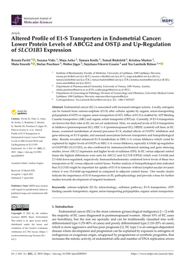 Altered Profile of E1-S Transporters in Endometrial Cancer: Lower Protein