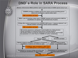 DND's Role in SARA Process
