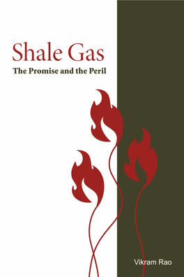 Shale Gas: the Promise and the Peril by Vikram Rao