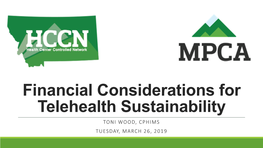 Financial Considerations for Telehealth Sustainability