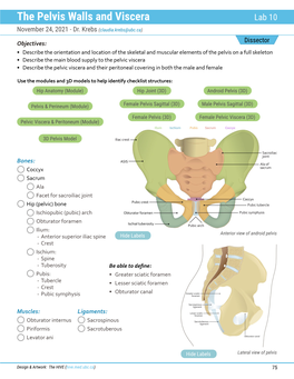 The Pelvis Walls and Viscera Lab 10 November 24, 2021 - Dr
