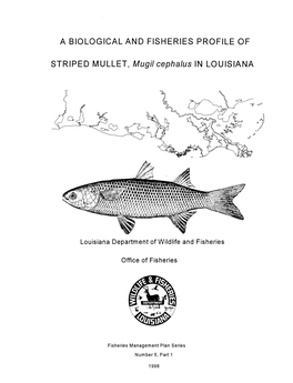 A Biological and Fisheries Profile of Striped Mullet