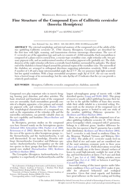 Fine Structure of the Compound Eyes of Callitettix Versicolor (Insecta: Hemiptera)