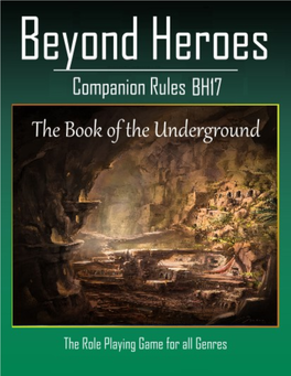 The Beyond Heroes Roleplaying Game Book I: the Player's Guide