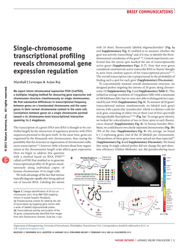 Single-Chromosome Transcriptional Profiling Reveals Chromosomal Gene