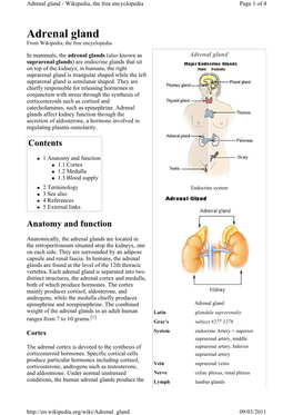 Adrenal Gland - Wikipedia, the Free Encyclopedia Page 1 of 4