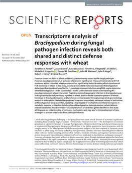 Transcriptome Analysis of Brachypodium During Fungal