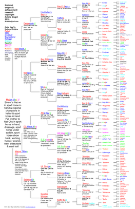 Major Mac V Sire of a Nat Wr in Sport Horse in Hand & Regional