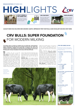 CRV Bulls: Super Foundation for Modern Milking