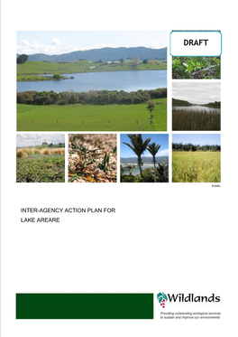 Lake Areare Inter-Agency Action Plan