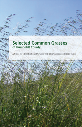 Selected Common Grasses of Humboldt County