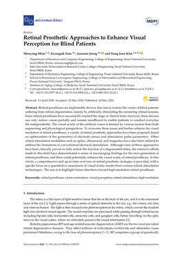 Retinal Prosthetic Approaches to Enhance Visual Perception for Blind Patients