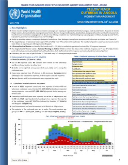 Yellow Fever Outbreak in Angola Incident Management